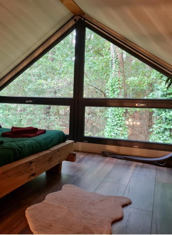 Forest View Lodge Diessen Buitenkant foto
